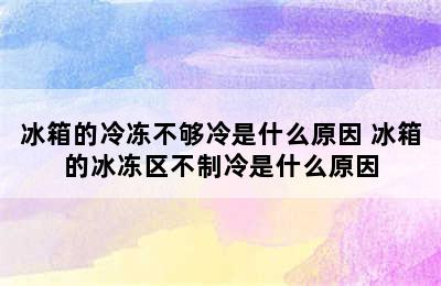 冰箱的冷冻不够冷是什么原因 冰箱的冰冻区不制冷是什么原因